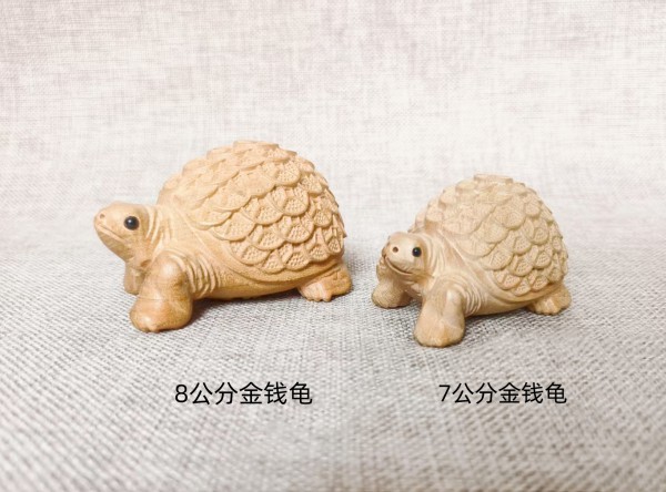 7-8公分金钱龟
